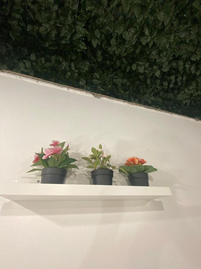 Alfa Casa Vacanze Catania Leilighet Eksteriør bilde